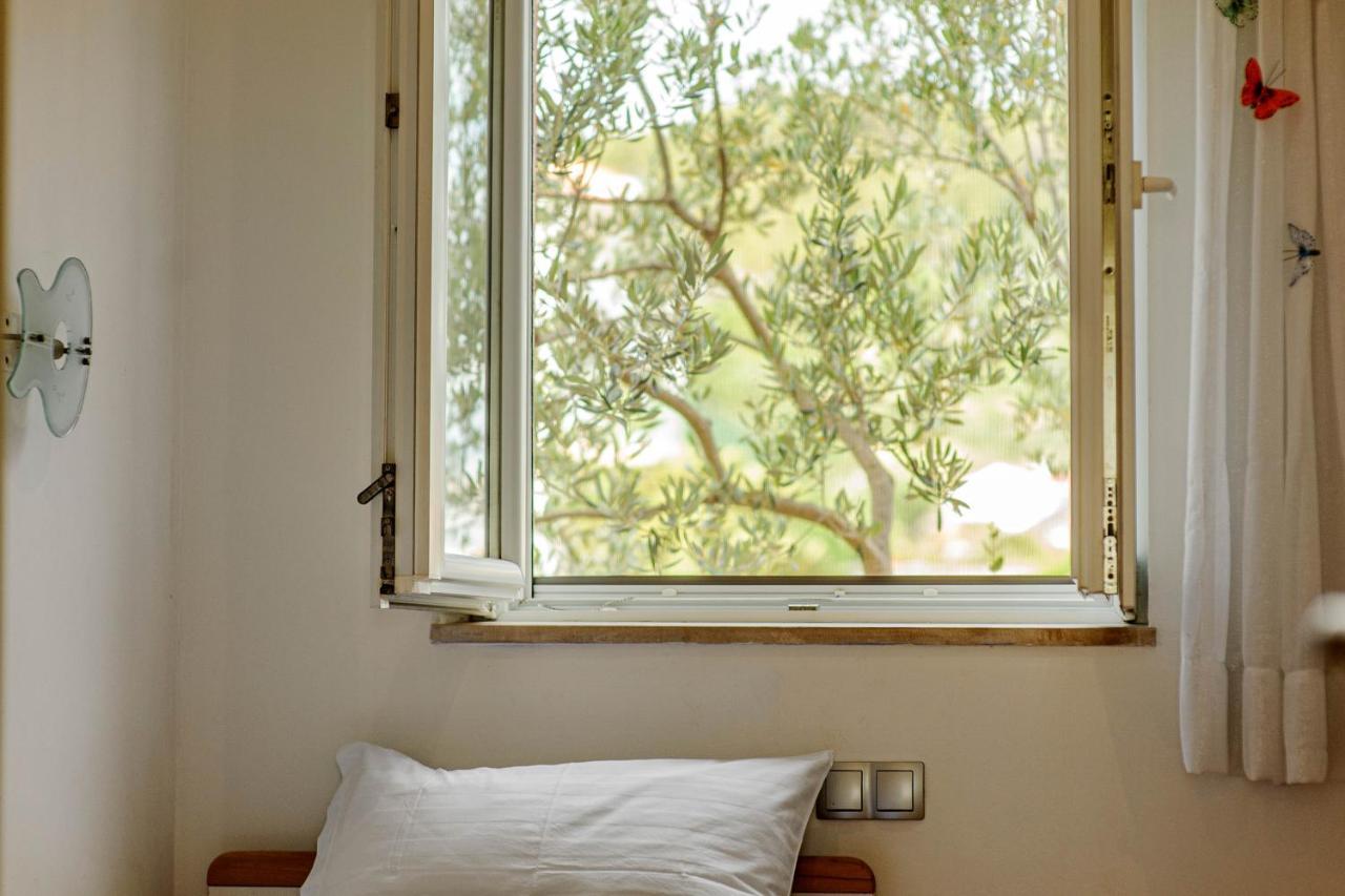 Apartment Jelic شيبينيك المظهر الخارجي الصورة
